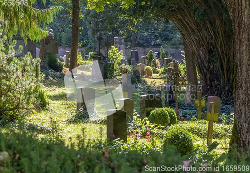 Image of sunny graveyard scenery