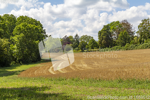 Image of rural scenery at summer time