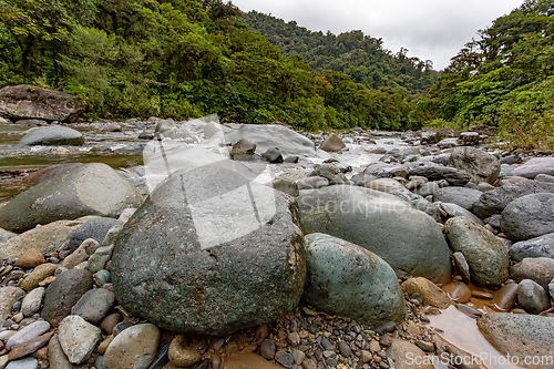 Image of The Orosi River, Tapanti - Cerro de la Muerte Massif National Park