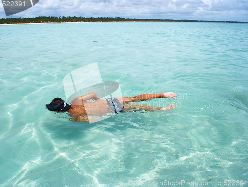 Image of Swimming in crystalline clear waters in Maragogi,  Brazil