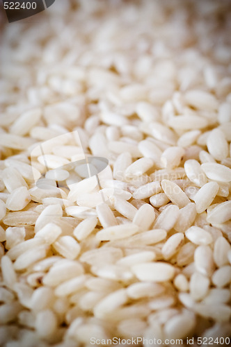 Image of Arborio Rice