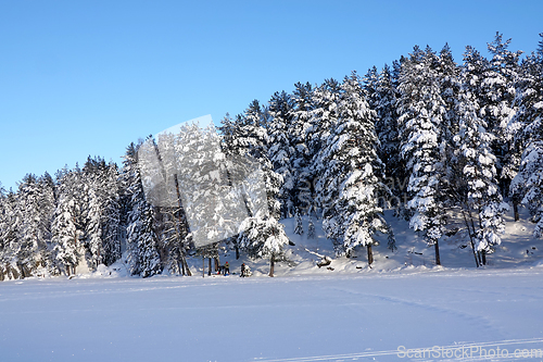 Image of Vinter