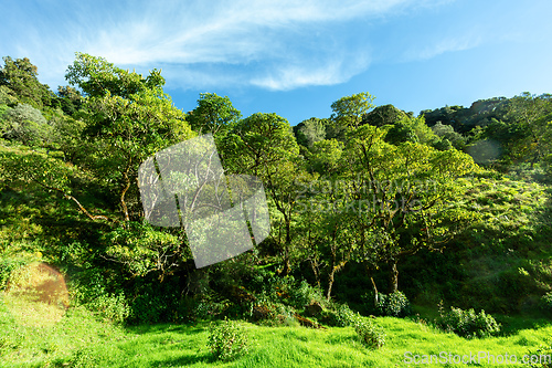 Image of Landscape in San Gerardo de Dota, Los Quetzales National Park Costa Rica.
