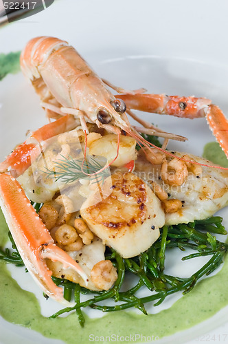 Image of Langoustine and scallops