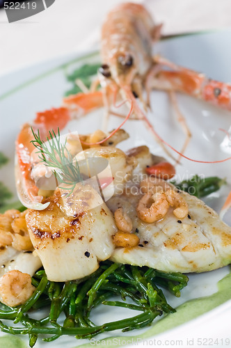 Image of Langoustine and scallops