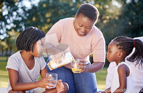 Image of Black woman, park and children family drinks juice for healthy nutrition or wellness nutritionist diet on picnic. Mother with girl kids or black people smile with citrus fruit orange juice in summer