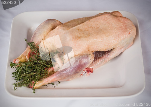 Image of prepared goose