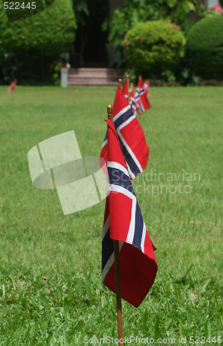 Image of Norwegian Flags in a garden