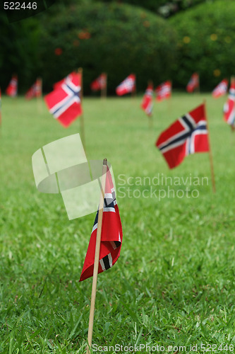 Image of Norwegian flags in a garden