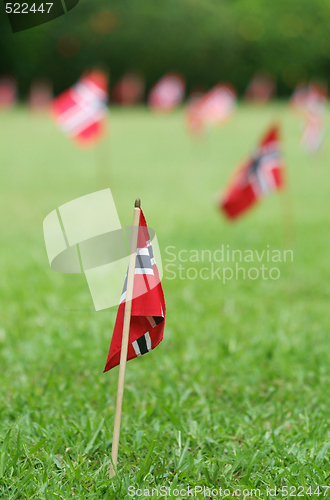 Image of Norwegian flags in a garden