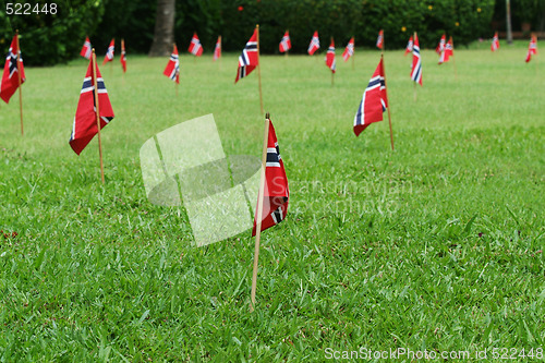 Image of Norwegian flags in a garden