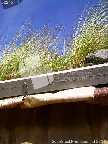 Image of Detail of roof