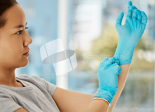 Image of Covid, safety and hands in gloves with a woman being safe and getting ready to clean with protection. Security, trust and latex with a young female cleaner in a house, home or office for cleaning