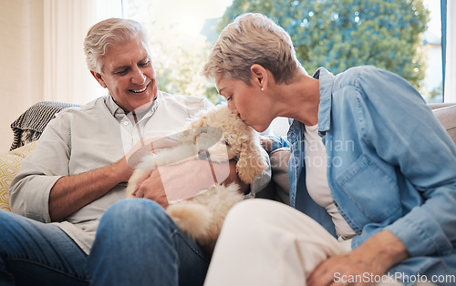 Image of Love, relax and retirement couple with dog pet on living room sofa together in house. Senior, happy and married caucasian people enjoy bonding with an animal companion in family home.