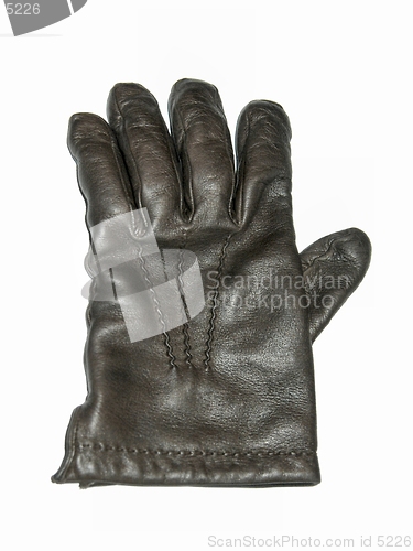 Image of Leather Glove