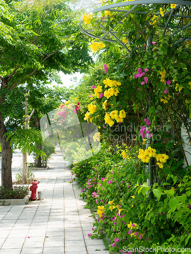 Image of Sidewalk surrounded by flowers and trees