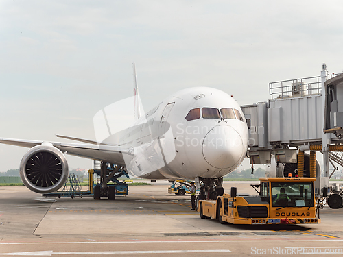 Image of Japan Airlines Boeing 787-8 in Ho Chi Minh City