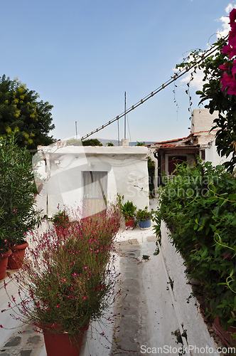 Image of footpath with plants and small houses