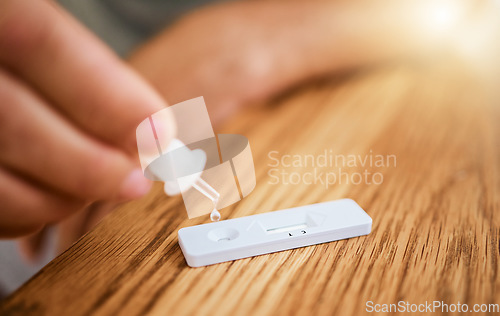 Image of Hand, corona and covid home test for virus, disease and illness during lockdown inside. Zoom in of hands using medical tools for an antigen test for covid results on a table inside for safety