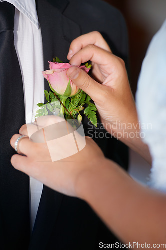 Image of Closeup, hands or flower on wedding suit, tuxedo or jacket in marriage unity, love or event. People, bride or groom couple and rose, plant or boutonniere in celebration, commitment and placement help