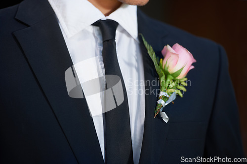 Image of Closeup, fashion or flower on wedding suit, tuxedo or jacket in marriage clothes, love or event. Person, groom or tie with pink rose, plant or boutonniere in celebration, commitment or romantic style