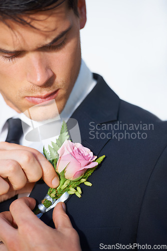 Image of Man, hands or flower on wedding suit, tuxedo or jacket in marriage, love or event. Person, fashion and groom fixing pink rose, plant or boutonniere in celebration, commitment and checking placement