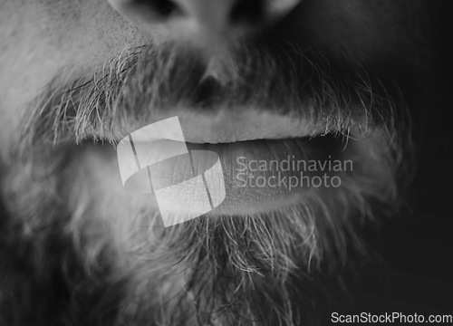 Image of Man, beard and lips closeup with a face in monochrome for creativity and art with facial hair. Black and white, serious male person and moustache with mouth and creative with grooming and treatment