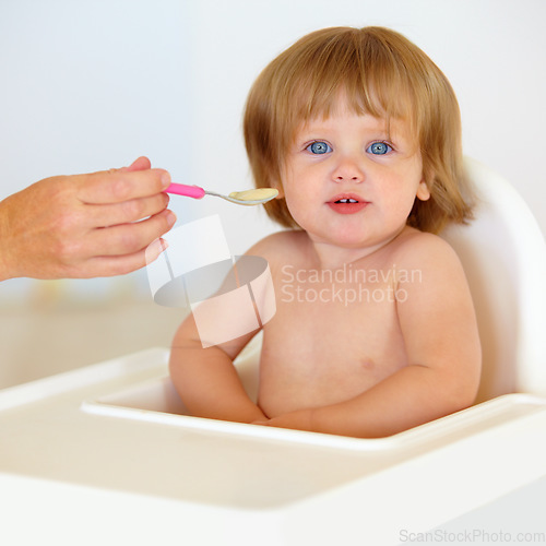 Image of Baby, chair and eating food or portrait for healthy dinner or childhood development, hungry on spoon. Hand, feeding seat and kid face for lunch time or nutrition vitamins, breakfast or parent care