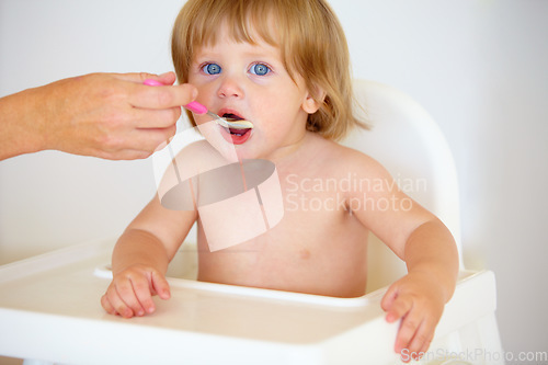 Image of Hand, baby and eating food or portrait for healthy dinner or childhood development, hungry on spoon. Person, feeding chair and kid face for lunch time or nutrition vitamins, breakfast or parent care