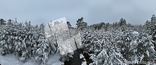 Image of Amazing Cinematic Aerial View On Freezing River. Aerial View Flight Above Frozen Creek Scenic View Of Nature