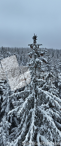 Image of Amazing Cinematic Aerial View On Freezing River. Aerial View Flight Above Frozen Creek Scenic View Of Nature