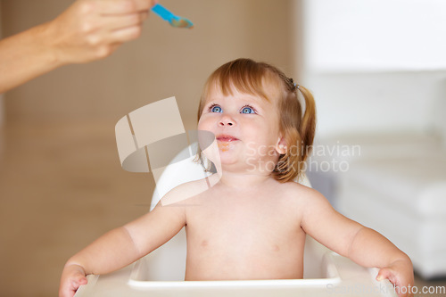 Image of Family, growth and a parent feeding her baby breakfast in the morning while in a home together for development. Children, food and a girl toddler eating with a healthy meal in an apartment kitchen