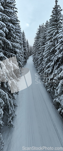 Image of Misty Sunset on the Snowy Mountains aerial drone point of view Forests cross country paths in pine trees winter with fresh country road.