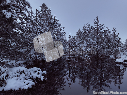 Image of Amazing Cinematic Aerial View On Freezing River. Aerial View Flight Above Frozen Creek Scenic View Of Nature