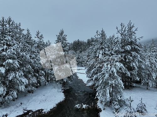 Image of Amazing Cinematic Aerial View On Freezing River. Aerial View Flight Above Frozen Creek Scenic View Of Nature