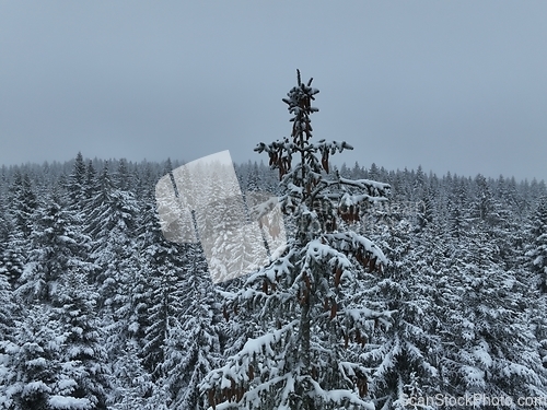 Image of Amazing Cinematic Aerial View On Freezing River. Aerial View Flight Above Frozen Creek Scenic View Of Nature