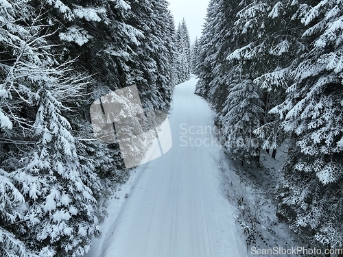 Image of Misty Sunset on the Snowy Mountains aerial drone point of view Forests cross country paths in pine trees winter with fresh country road.