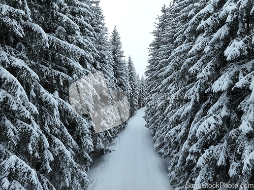 Image of Misty Sunset on the Snowy Mountains aerial drone point of view Forests cross country paths in pine trees winter with fresh country road.