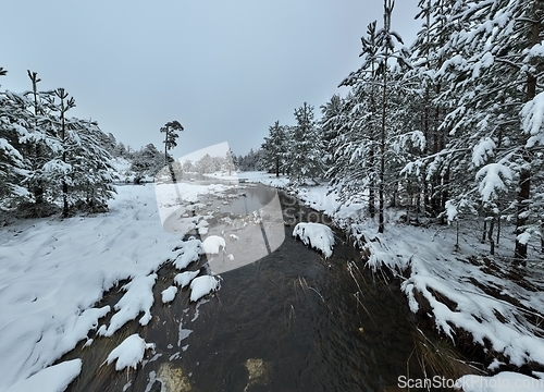 Image of Amazing Cinematic Aerial View On Freezing River. Aerial View Flight Above Frozen Creek Scenic View Of Nature