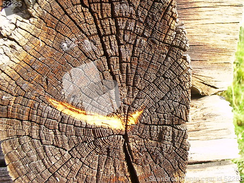 Image of Wood