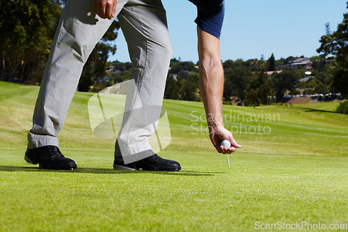Image of Sports, golf hole and person with ball on course playing game, practice and training for competition. Professional golfer, grass and hands of man placing tee for winning stroke, tournament or score