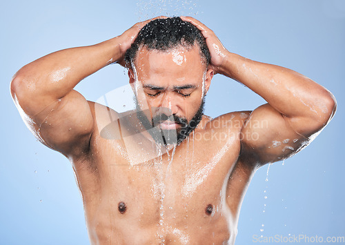 Image of Shower, washing hair and man with water in studio for cleaning, hygiene and skincare on blue background. Dermatology, bathroom and person with drops or splash for wellness, grooming and self care