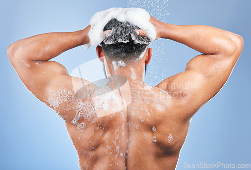 Image of Shower, washing hair and back of man in studio for cleaning, hygiene and skincare on blue background. Dermatology, bathroom and person with shampoo, soap and foam for wellness, health or self care