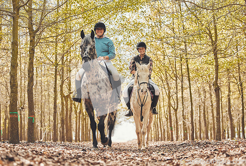 Image of Portrait, women and horses in a forest, riding and happiness with animal care, stallion and countryside. Adventure, pets and girls with joy, activity or friends with hobby, bonding together and woods