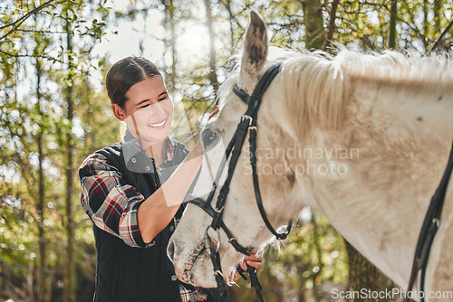 Image of Happy woman with horse in forest, grooming in nature and love for animals, pets or dressage with trees. Equestrian sport, girl jockey or rider standing in woods for adventure, rub and smile on face.