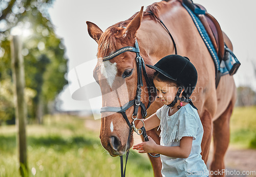 Image of Happy, nature and child with a horse in a forest training for a race, competition or event. Adventure, animal and young girl kid with stallion pet outdoor in the woods for equestrian practice.