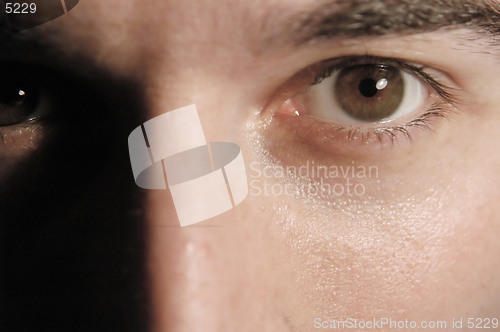 Image of Eyes