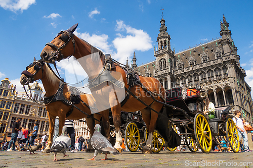 Image of Carriage, horses, pigeons and tourists on the Grand-Place of Bru