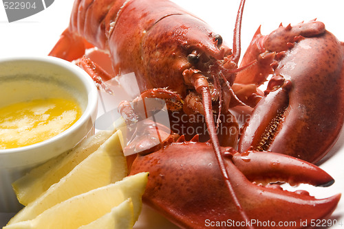 Image of cooked lobster with butter and lemon wedges