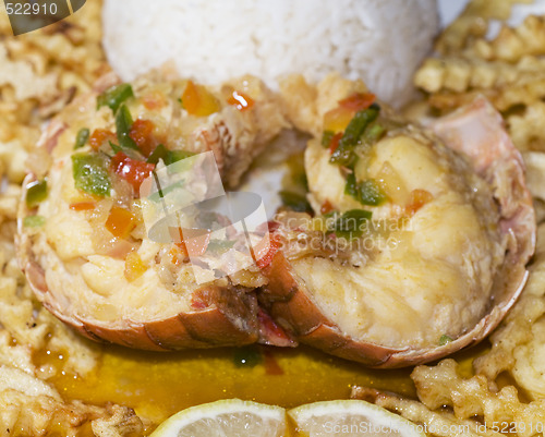 Image of caribbean lobster tail dinner